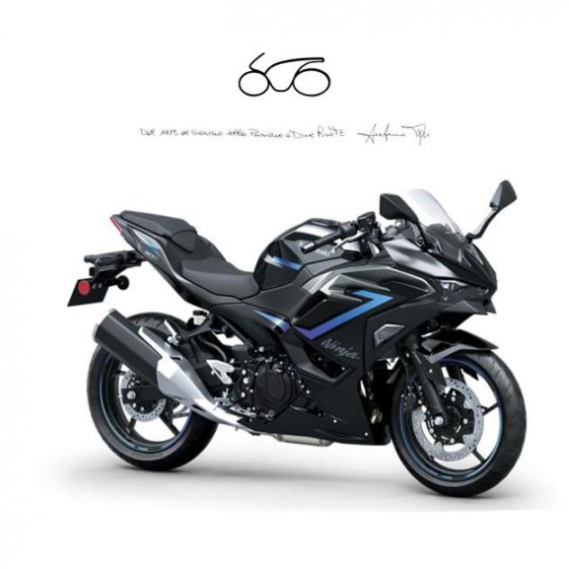 KAWASAKI Ninja 500 SE MY26 rif. 22843770