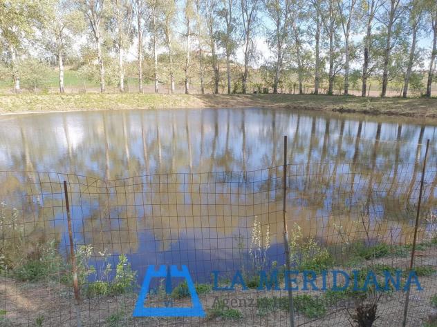 Terreno agricolo in vendita a Cerreto Guidi 21500 mq Rif: 1071586 - Foto 5