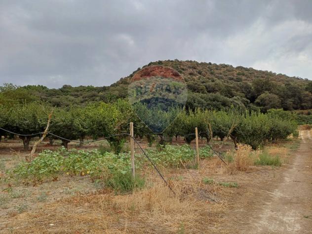 Terreno in vendita a Chiaramonte Gulfi - Foto 5