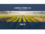 Immobile in asta di 1120 m² in vendita a Lamezia Terme