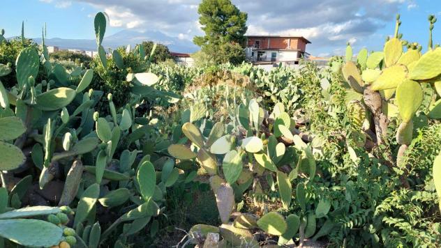 Terreno in vendita a Paternò - Foto 8