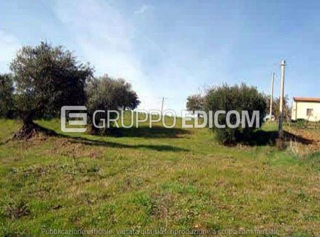 Terreno di 15074 mq in vendita a San Marco Argentano - Rif. 4534391 - Foto 2