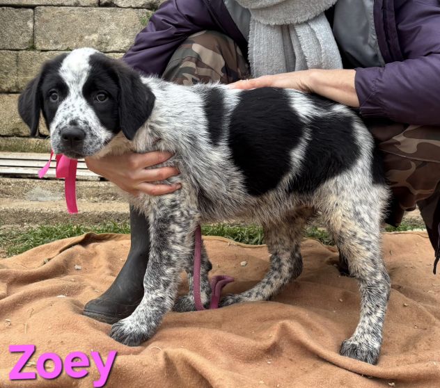 Bellissima! - Foto 8