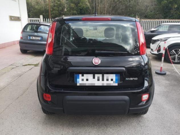 FIAT Panda 1.0 FireFly S&S Hybrid rif. 23745738 - Foto 6