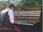 ORGANISTA E VIOLINISTA PER MATRIMONI BERGAMO