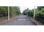 Terreno in vendita a Sant'Alfio