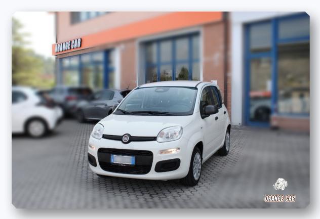 FIAT Panda 3ª serie Panda 1.0 FireFly S&S Hybrid Pandina