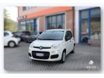 FIAT Panda 3ª serie Panda 1.0 FireFly S&S Hybrid Pandina