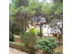 Armonie Rooms & Apartment
