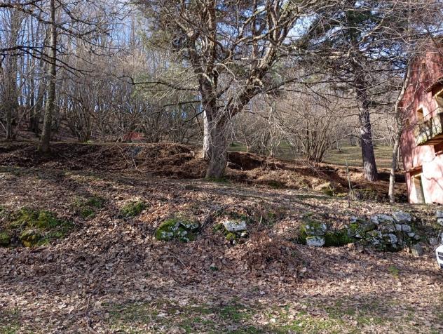 Terreno in vendita a Santa Domenica Vittoria - Foto 14