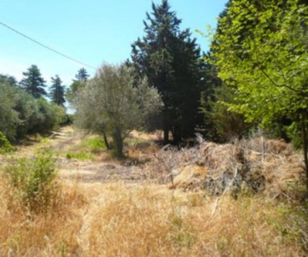 Immobile in asta di 213 m² in vendita a Montaione - Foto 3