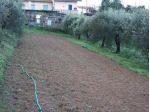 Casa singola in vendita a Santa Maria a Monte 400 mq  Rif: 901441