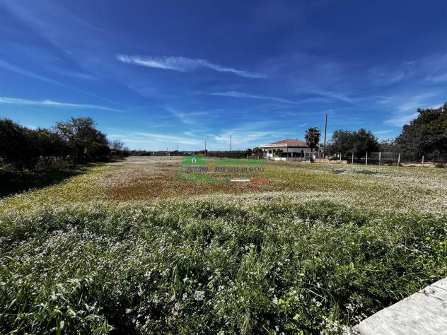Rif: 2572 - Villetta da ristrutturare con terreno di 6.900 mq. - Foto 17