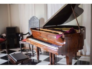 Lezioni pianoforte Sannazzaro de Burgondi