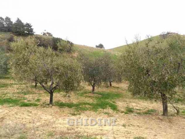 RUSTICO di 3 vani e di 65 mq (CINIGIANO - VICINANZE DEL PAESE) rif. 1988.65M - Foto 13