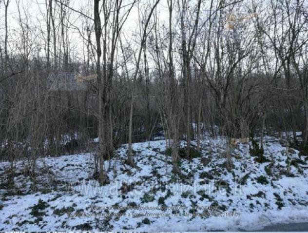 IMMOBILI-ALTRA CATEGORIA-Localita' Moiolo di Cassano SNC - Foto 3