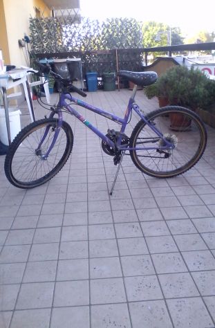 Bicicletta - Foto 2