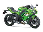 KAWASAKI Ninja 650 my24