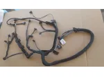CABLAGGIO VANO MOTORE MERCEDES BENZ CLASSE E W210 A2104404206