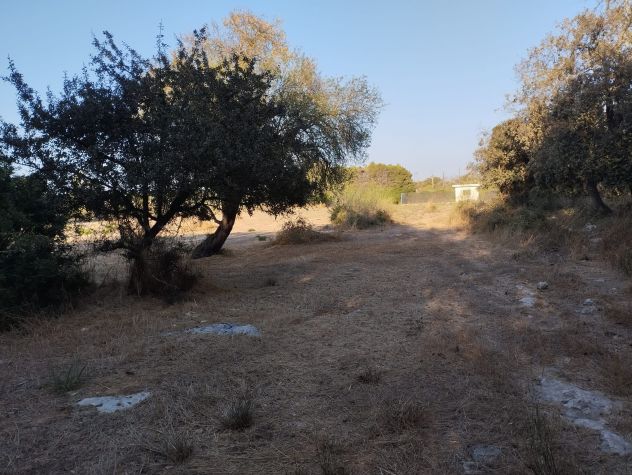 Terreno di circa 8.000 mq con trullo nelle campagne di Alezio - Foto 4