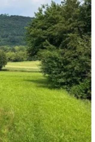 Immobile in asta di 3500 m² in vendita a Castelgomberto - Foto 5