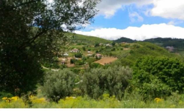Immobile in asta di 10767 m² in vendita a Luzzi - Foto 3
