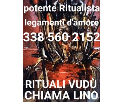 SACERDOTE RITUALISTA IFA - Foto 6