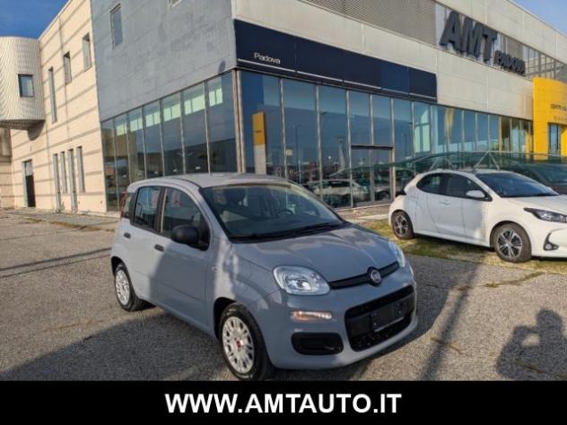 FIAT Panda 1.0 FireFly S&S Hybrid rif. 23837054