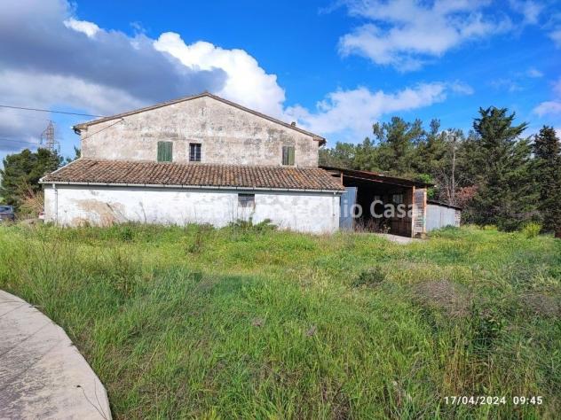 TIPICA CASA COLONICA MARCHIGIANA DI AMPIE DIMENSIONI CON LOCALI USO DEPOSITO E CORTE ESCLUSIVA CIRCOSTANTE - Foto 2