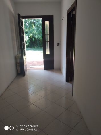 Casa singola 200 mq, con oltre 2300 mq di terreno. - Foto 6