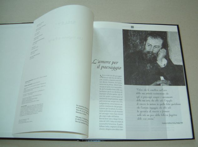 Sisley - Un inglese a Parigi - Foto 2