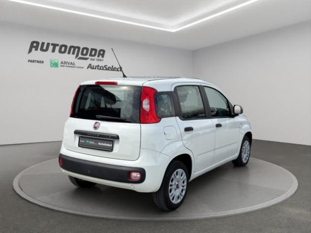 FIAT Panda 1.2bz van 4 posti rif. 23448602 - Foto 4