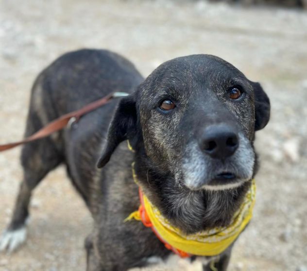 Igor per 10 anni ha vissuto da solo in una campagna - Foto 2