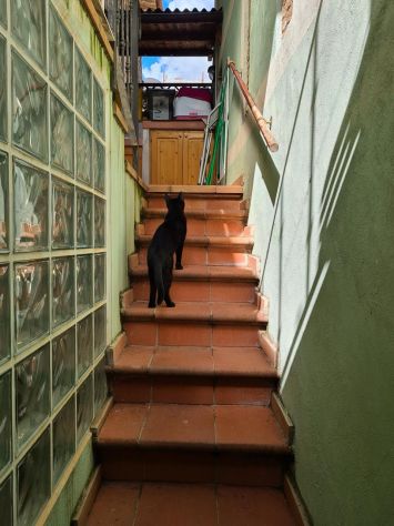 APPARTAMENTO DI CHARME NEL CENTRO STORICO DI SPOLETO - Foto 5