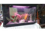 ACQUARIO 60x30x47
