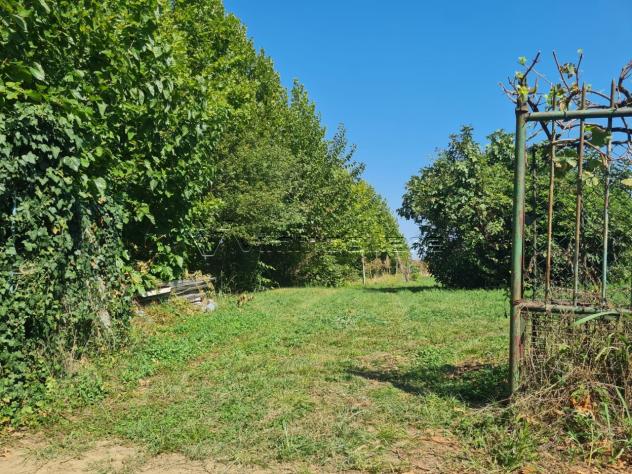 Rustico in vendita a Agugliaro - Foto 8