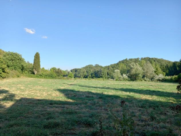 TERRENO AGRICOLO di 4 vani e di 37220 mq (CASTELFIORENTINO) rif. C 04 - Foto 2