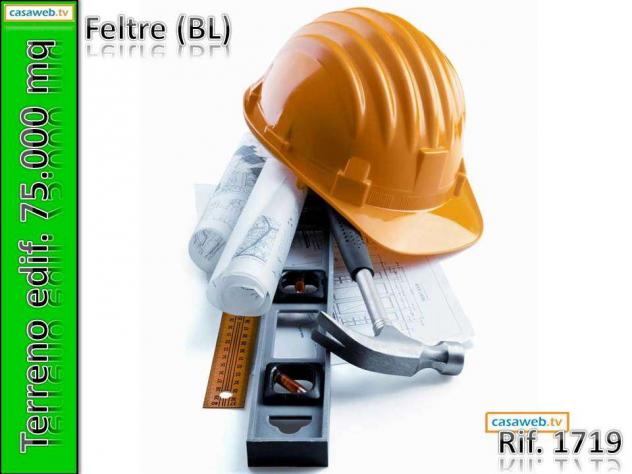 1719 - Terreno Edif. 75.000 mq a Feltre (BL) Rif. 1719 - Foto 8