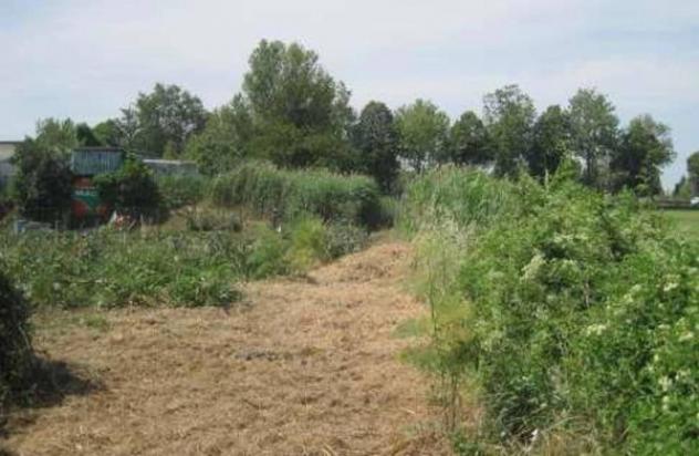 Immobile in asta di 6782 m² in vendita a Pesaro - Foto 5