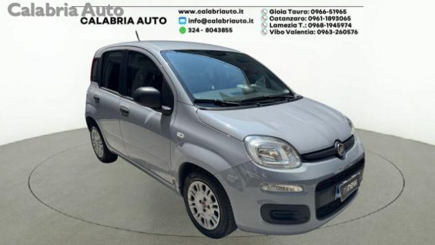 FIAT Panda 1.0 FireFly S&S Hybrid rif. 23935562 - Foto 2