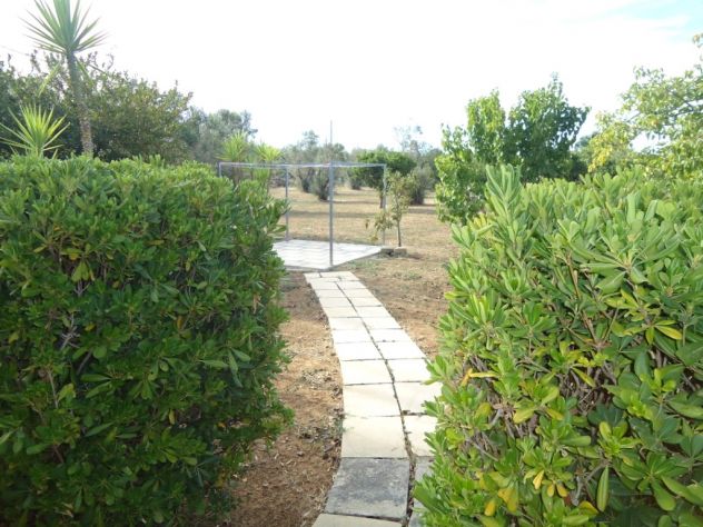 Graziosa villetta di campagna - Foto 4