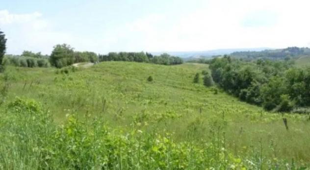Immobile in asta di 21514 m² in vendita a Montespertoli - Foto 2