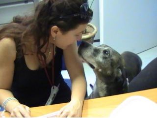 BEA cerca un cuore grande