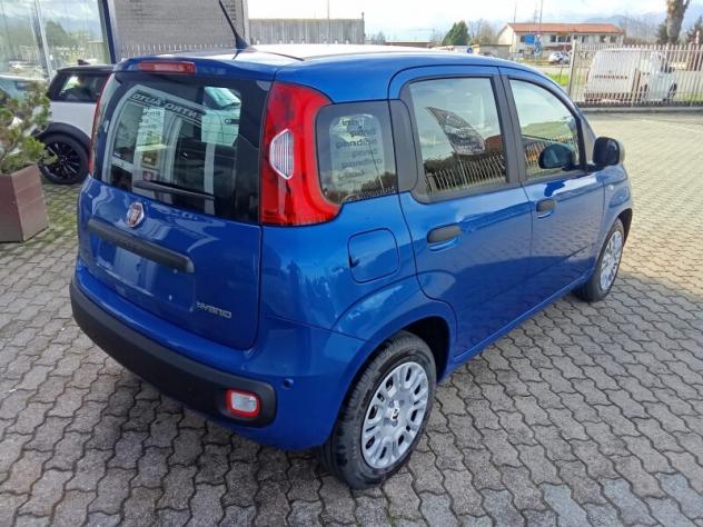 FIAT Panda 3ª serie Panda 1.0 FireFly S&S Hybrid Pop - Foto 3