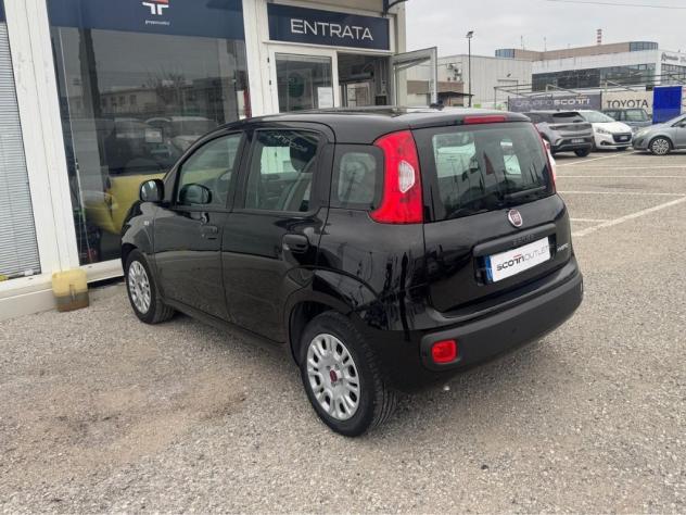 FIAT Panda III 2021 1.0 firefly hybrid s&s 70cv - Foto 2