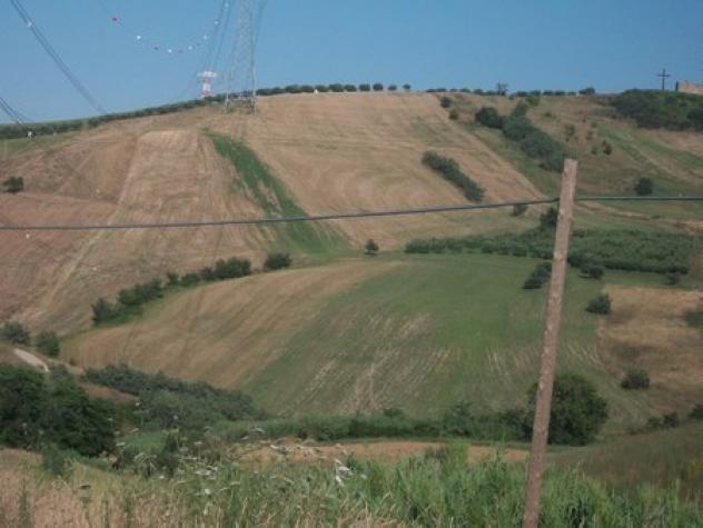 Uliveto in vendita a Lanciano - Foto 10