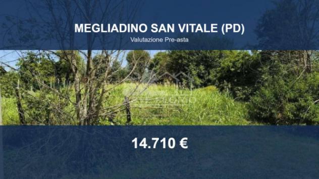 Immobile in asta di 1178 m² in vendita a Megliadino San Vitale