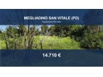 Immobile in asta di 1178 m² in vendita a Megliadino San Vitale