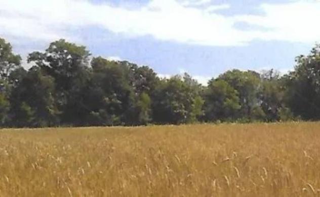 Immobile in asta di 9002 m² in vendita a Nibionno - Foto 2