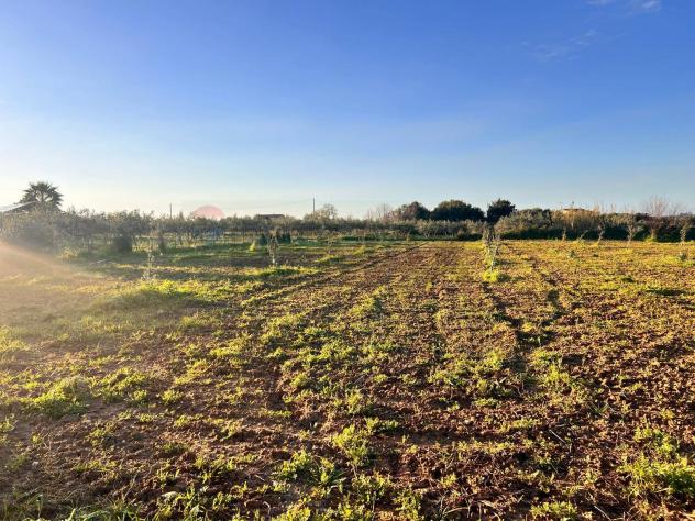 Terreno in vendita a Partinico - Foto 8